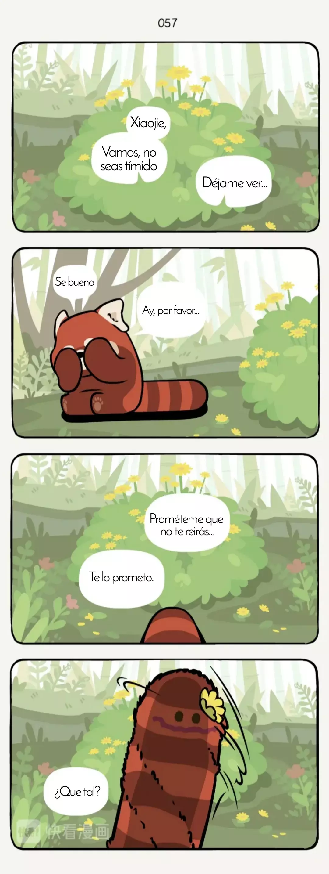 Página 4