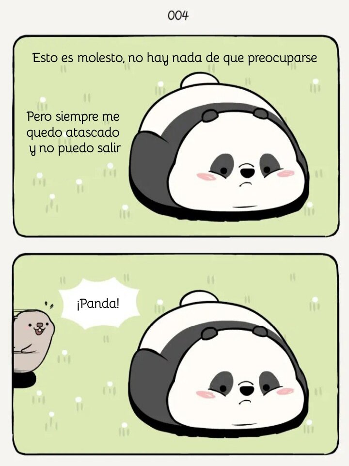 Página 4