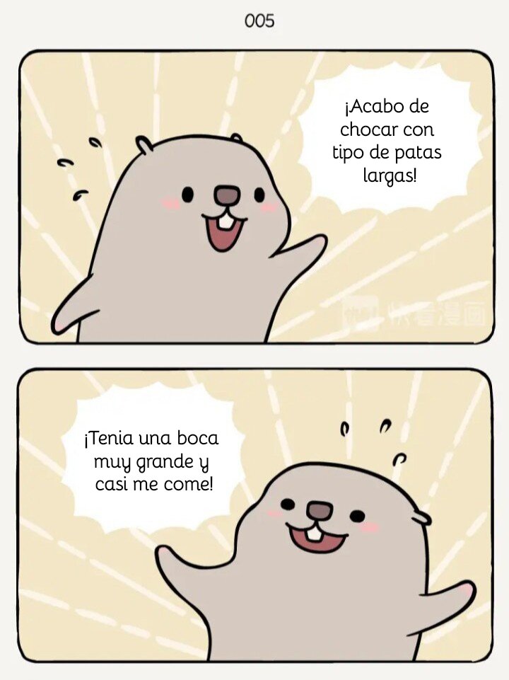Página 6