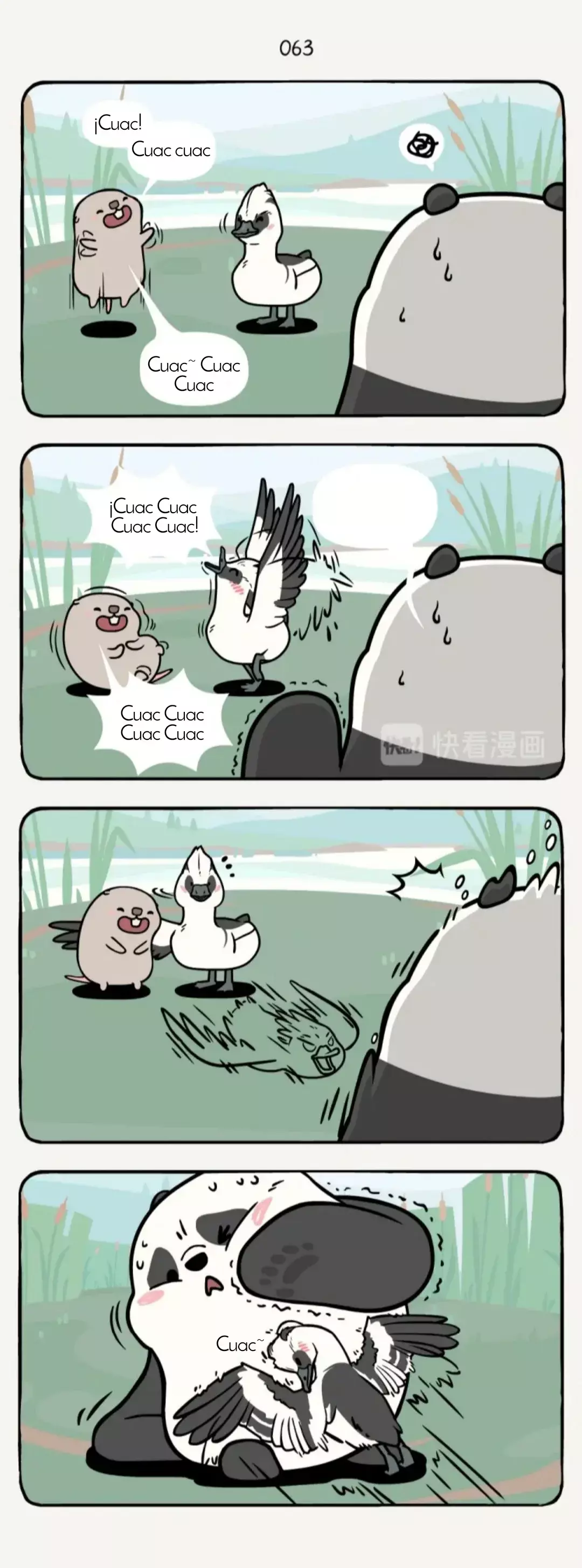 Página 6
