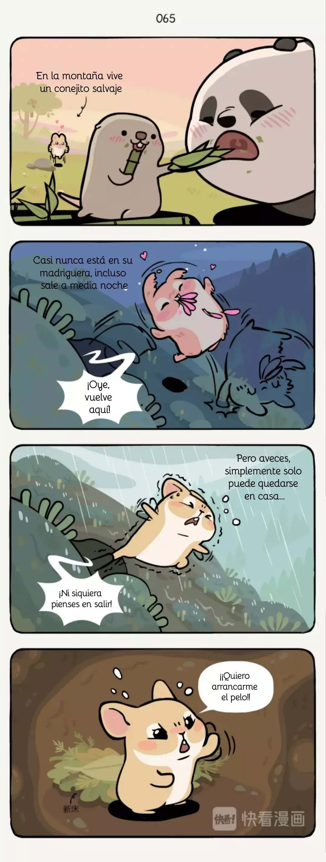 Página 3