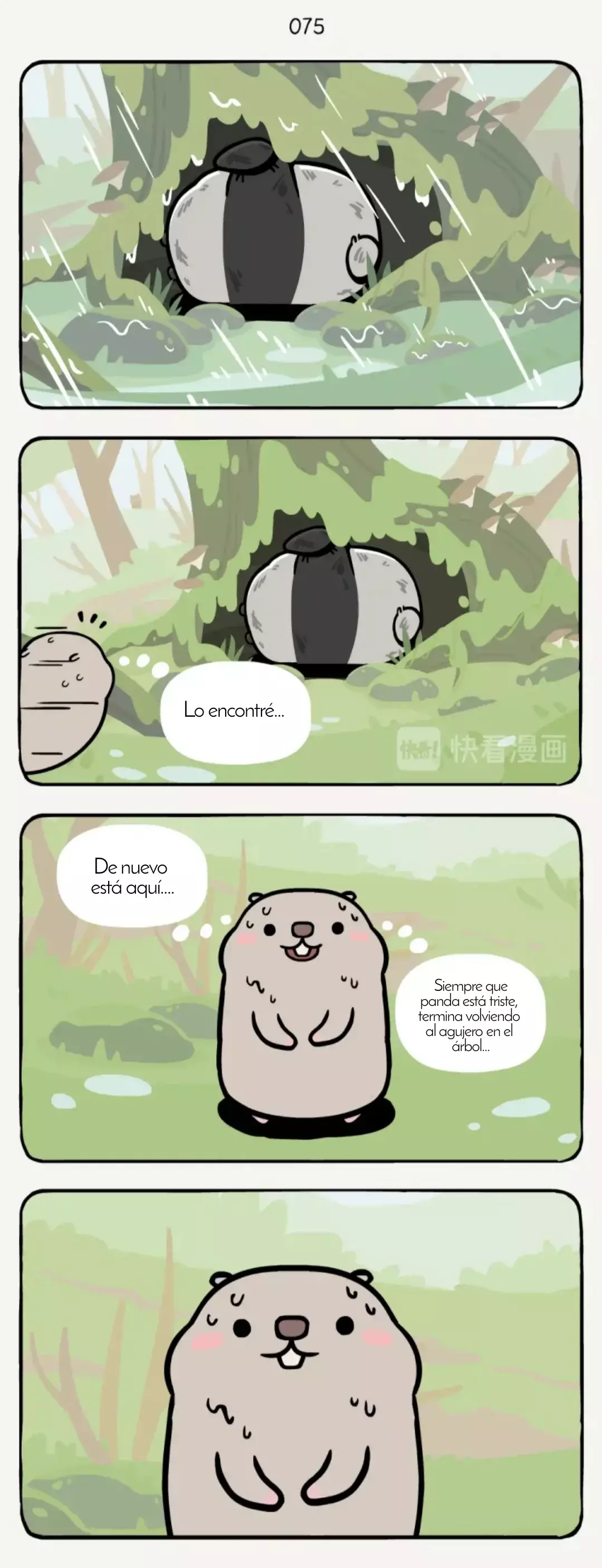 Página 8
