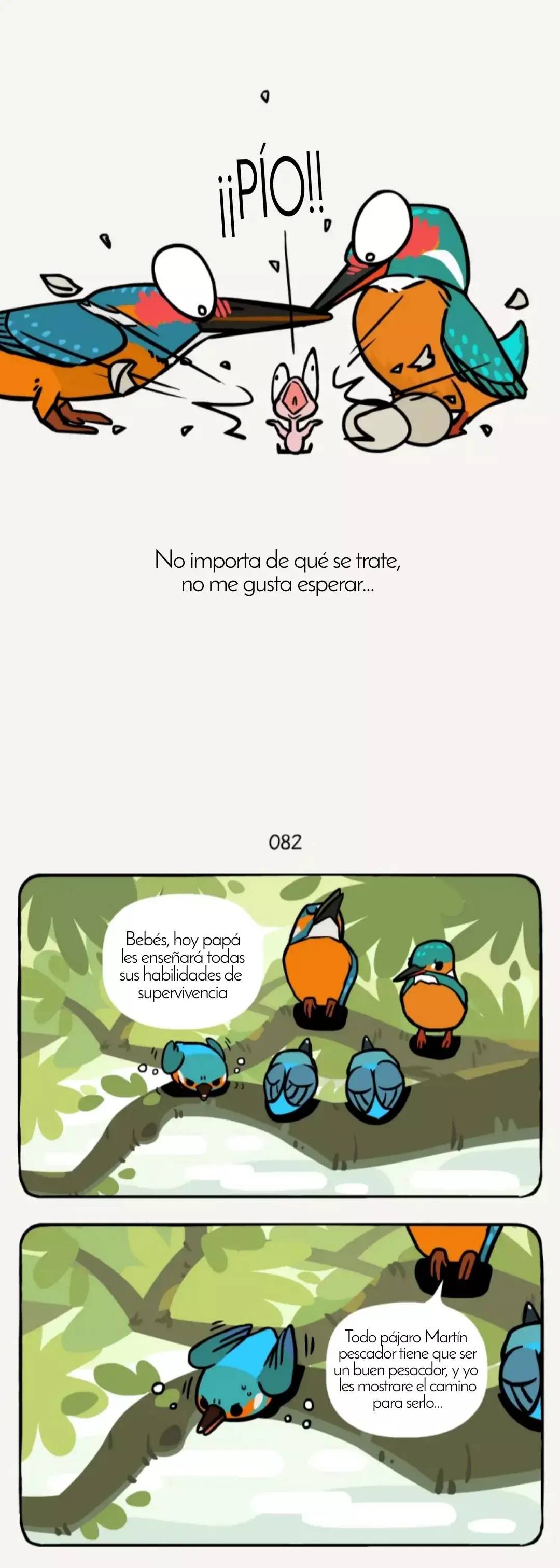 Página 5