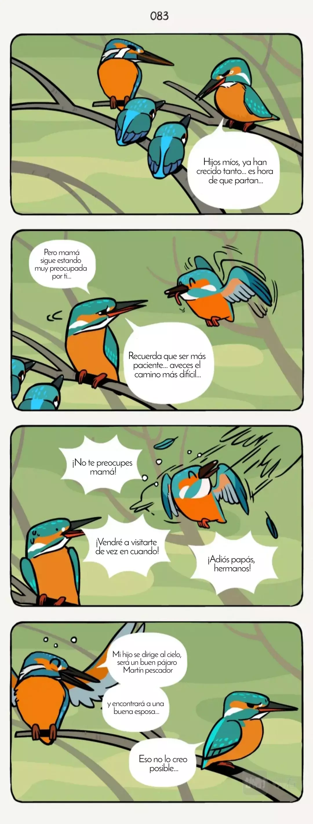 Página 7