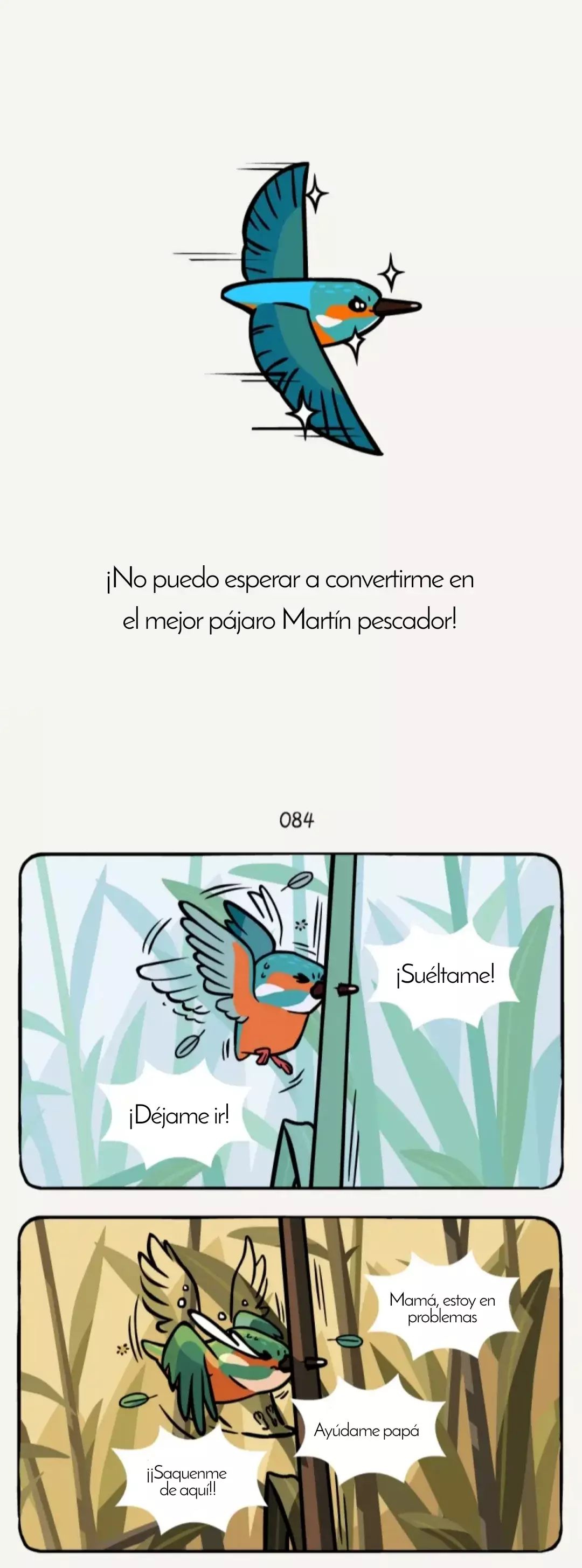 Página 8