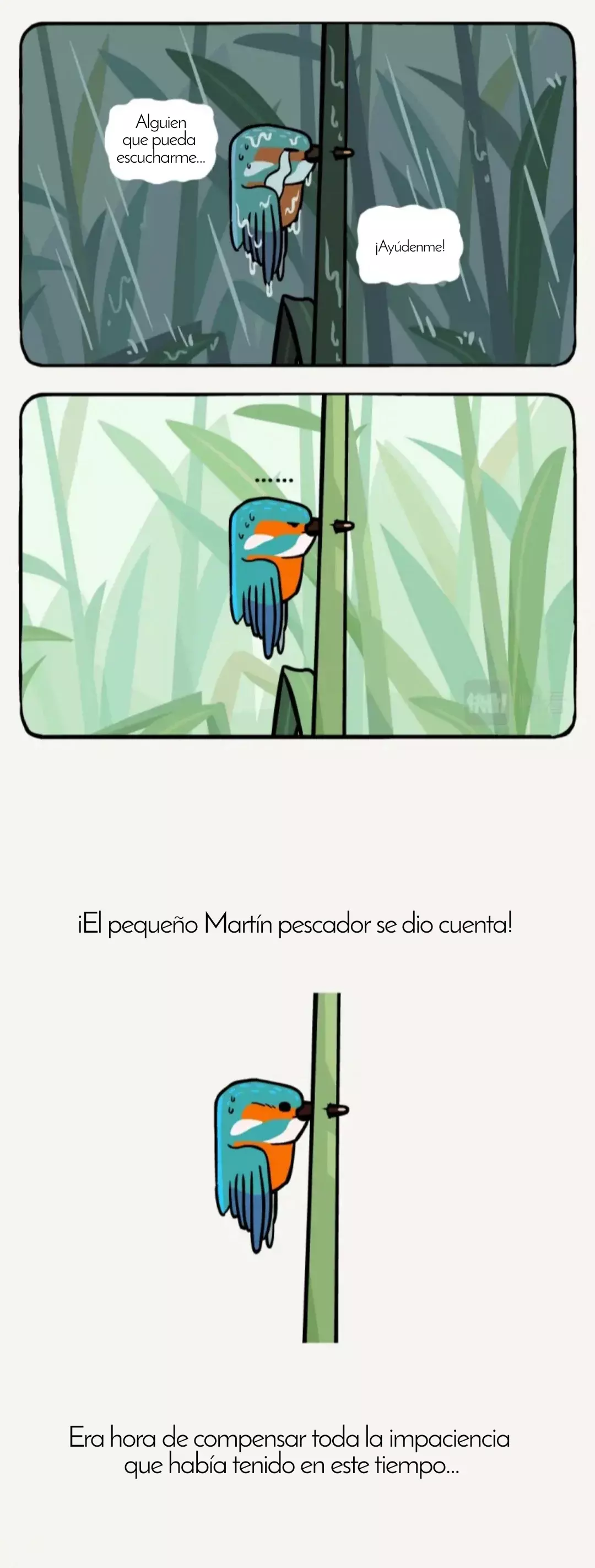 Página 9