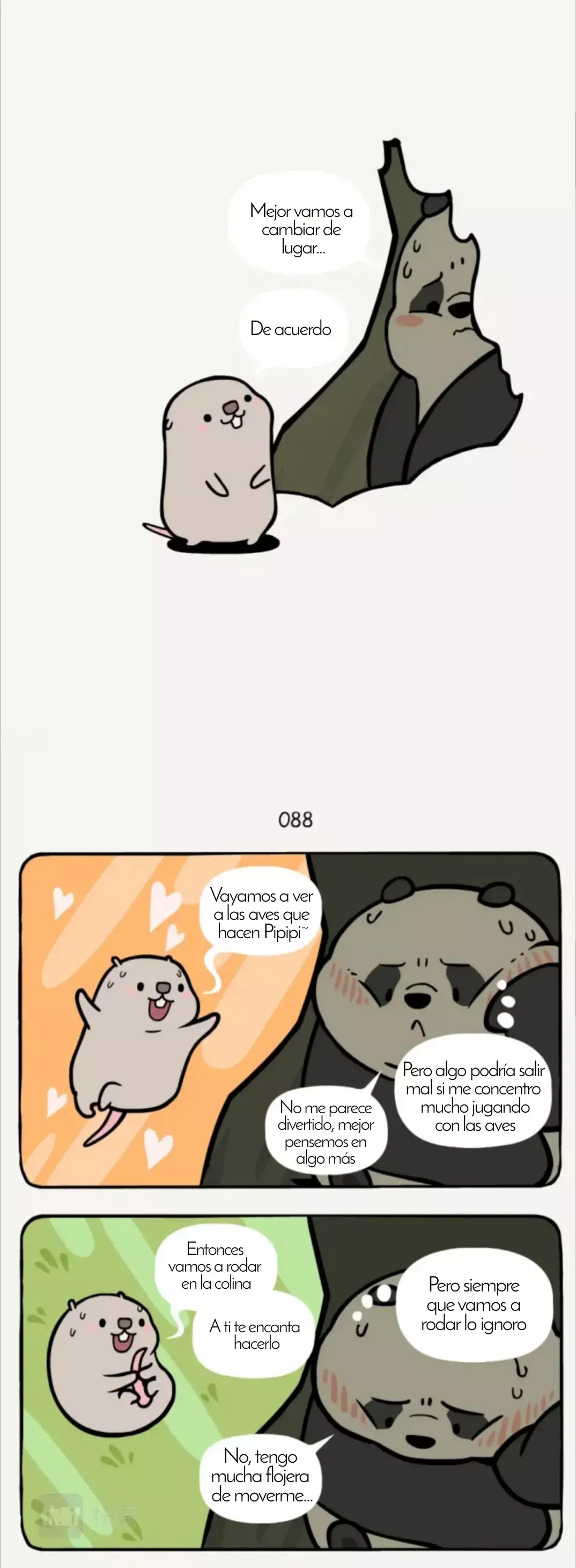 Página 5