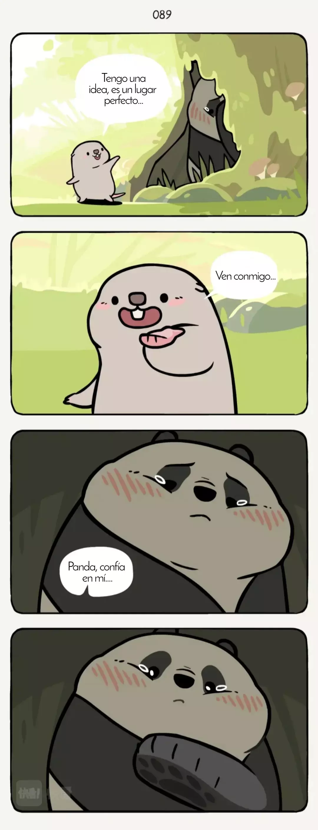 Página 7
