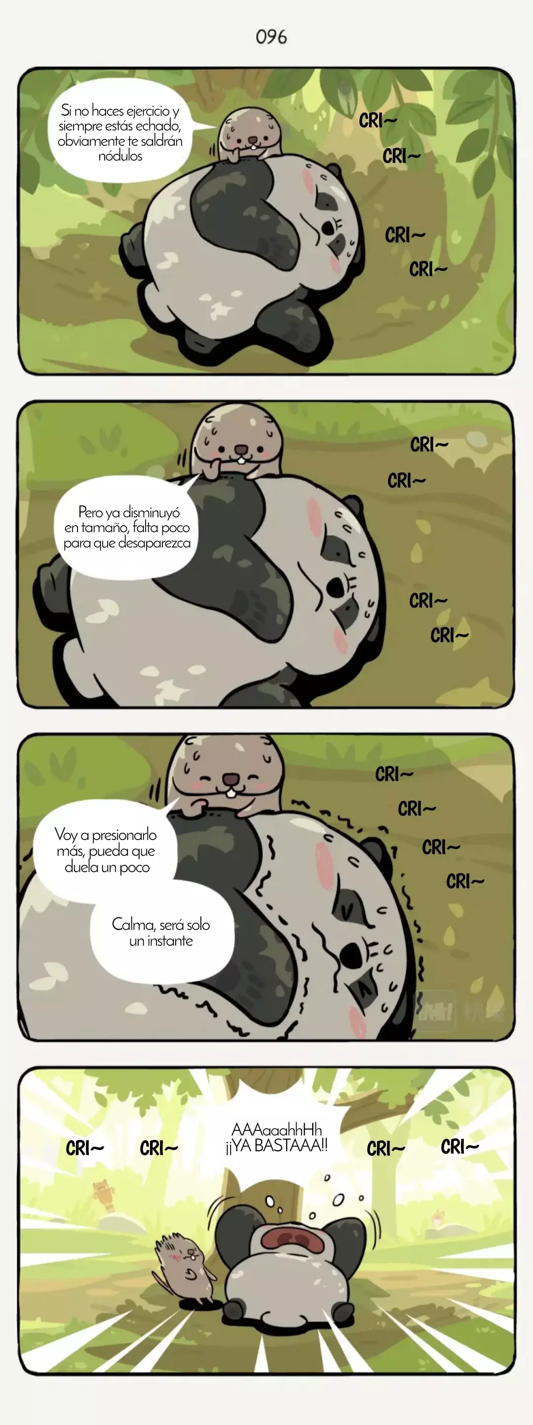 Página 3