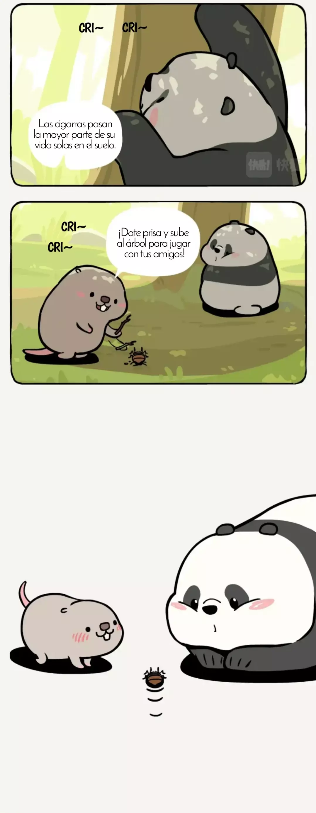 Página 5