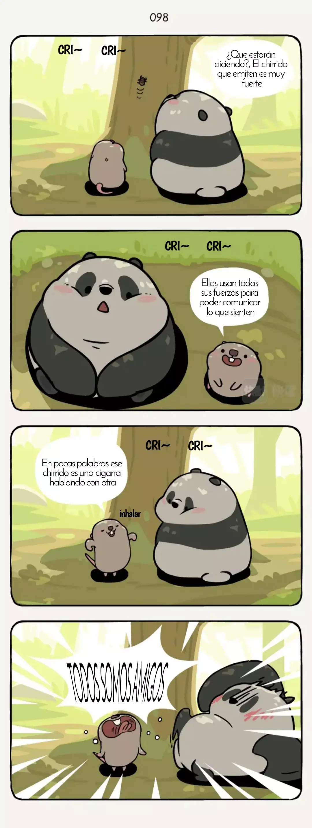 Página 6