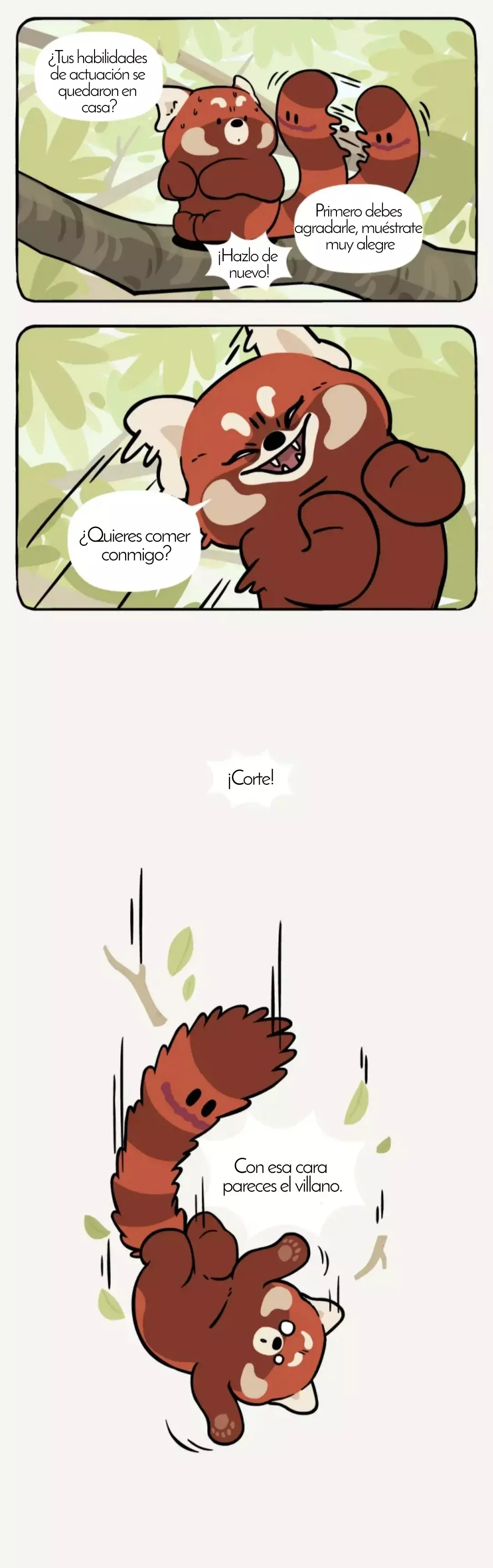 Página 5