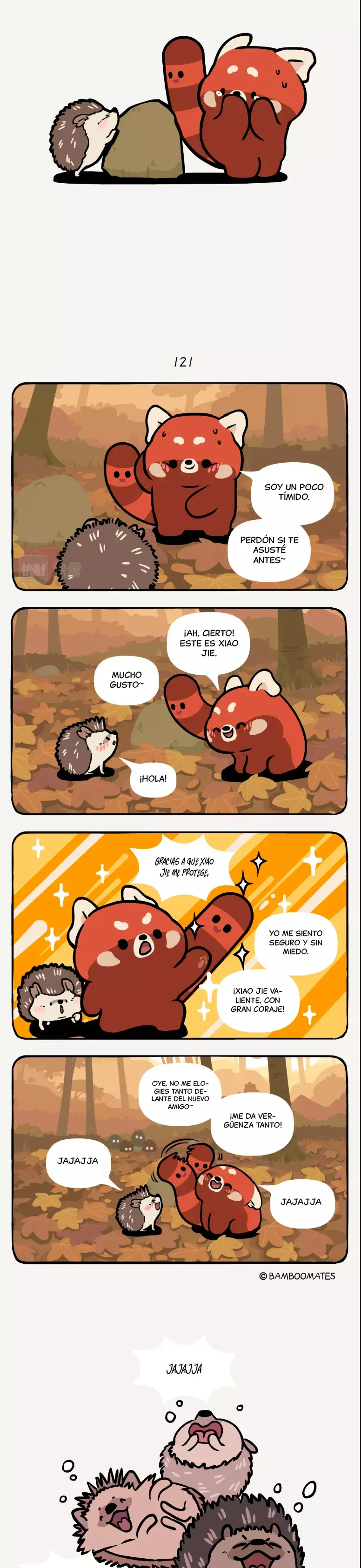 Página 5