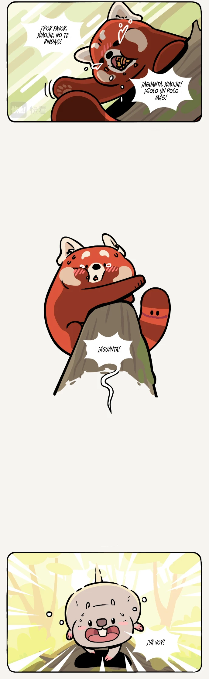 Página 7