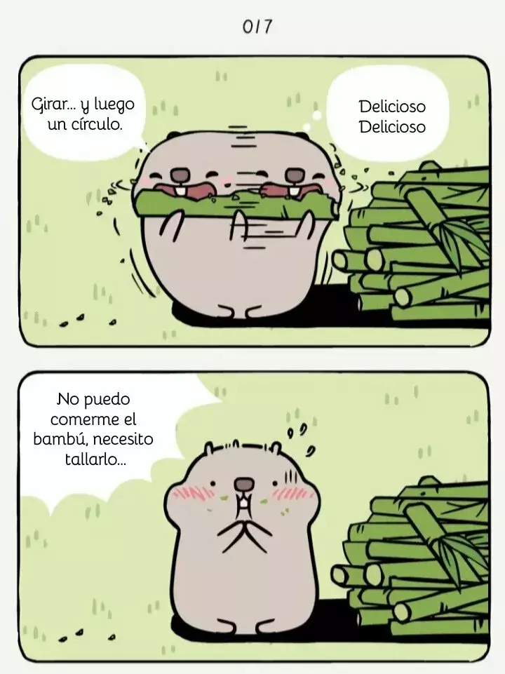 Página 4
