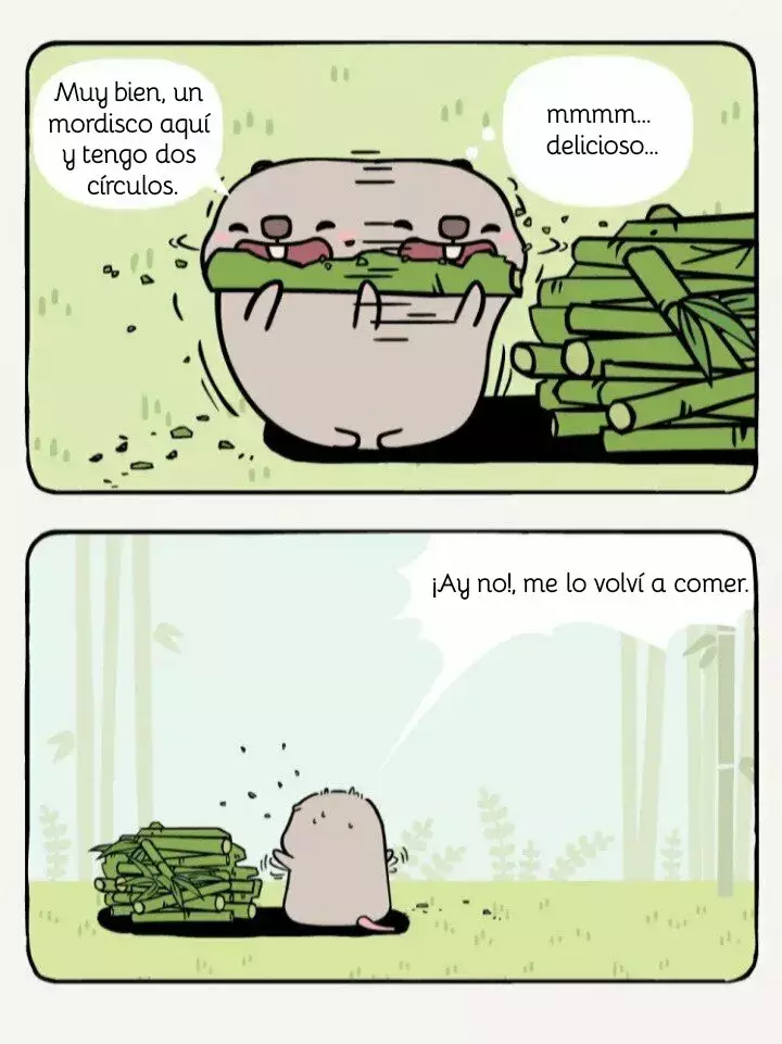 Página 5