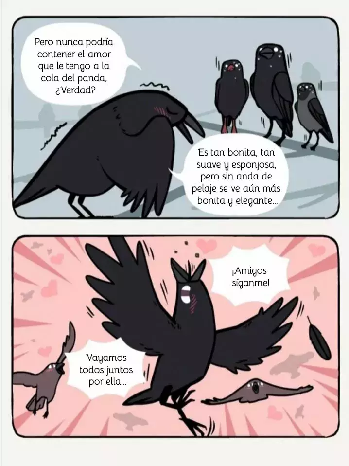 Página 11