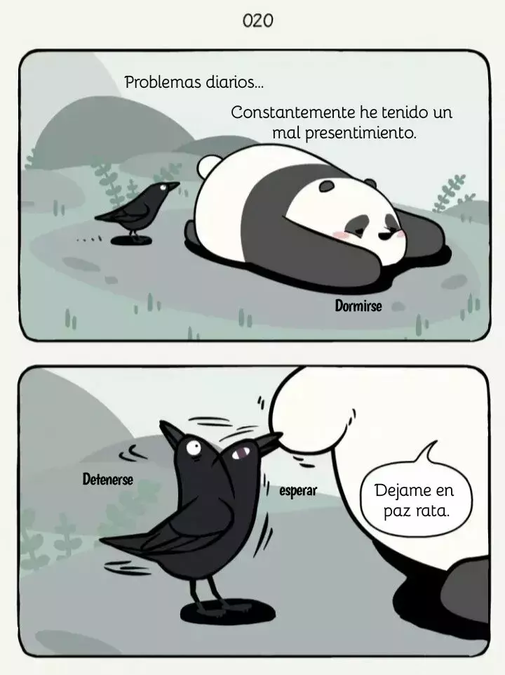 Página 4