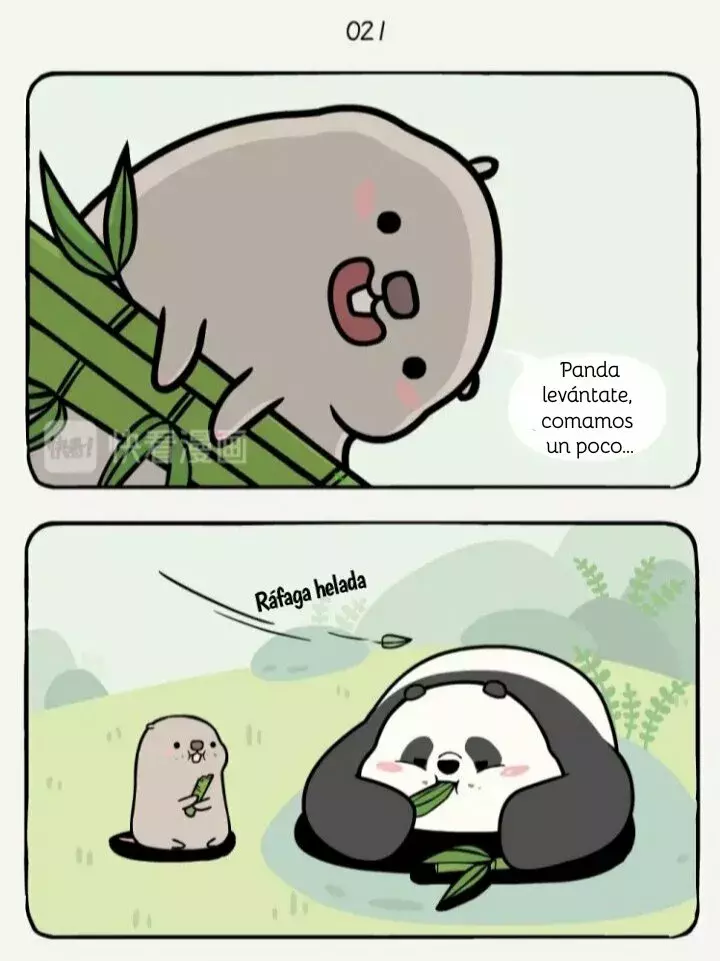 Página 7
