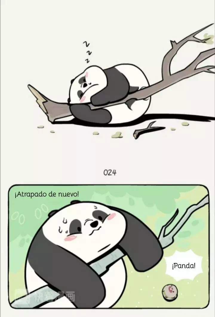 Página 6