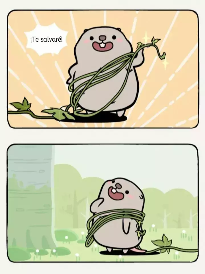 Página 7