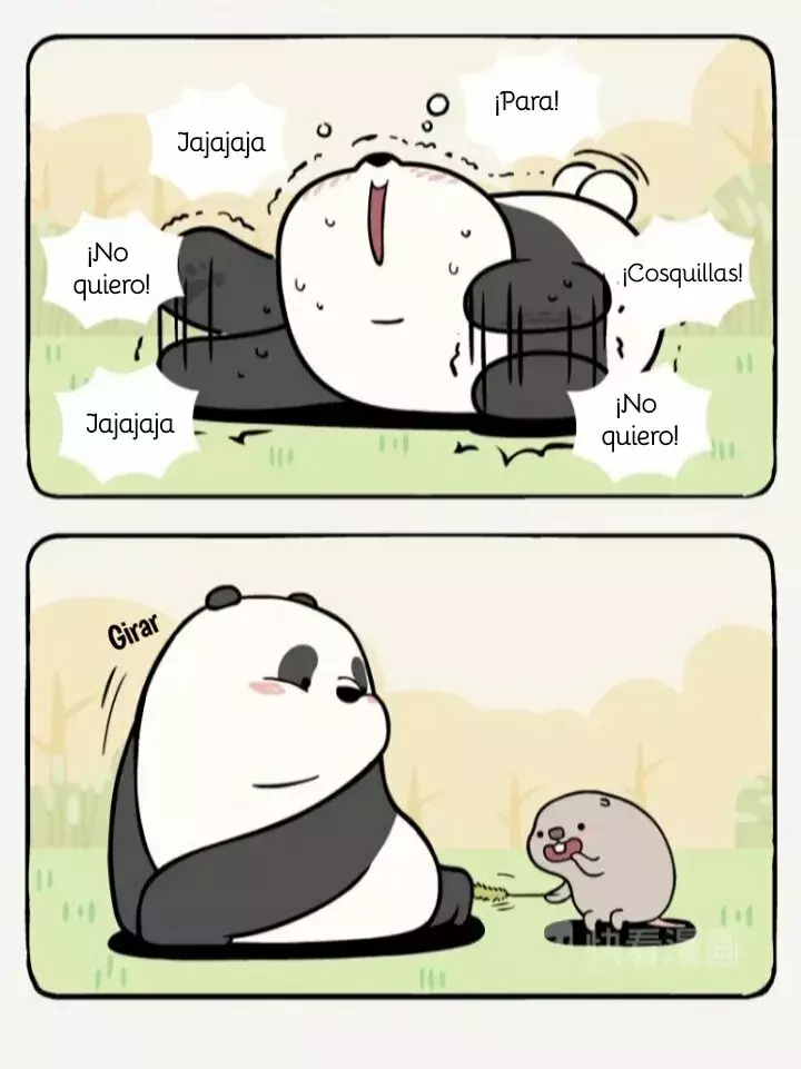 Página 5