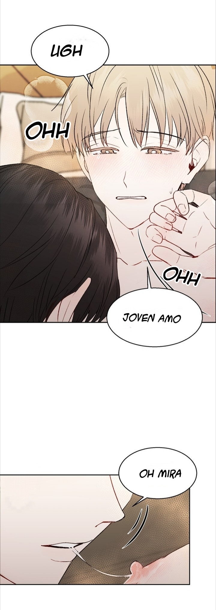 Página 29