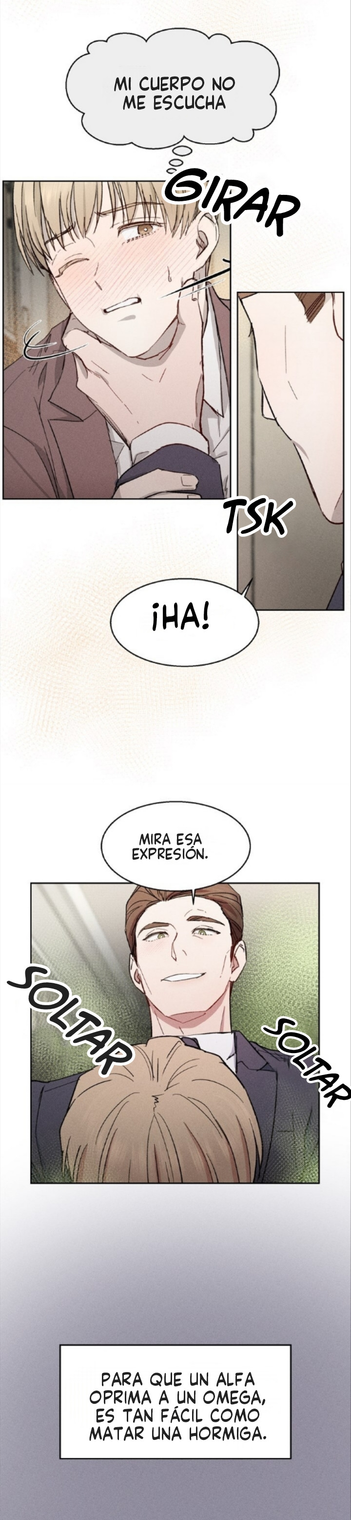 Página 5
