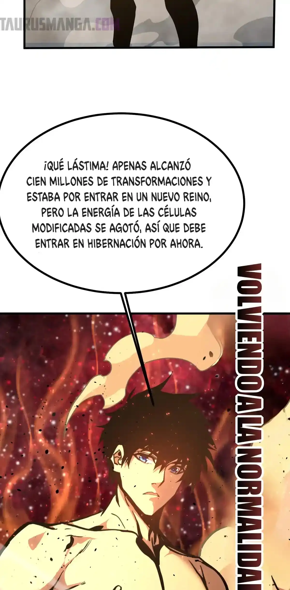 Página 19