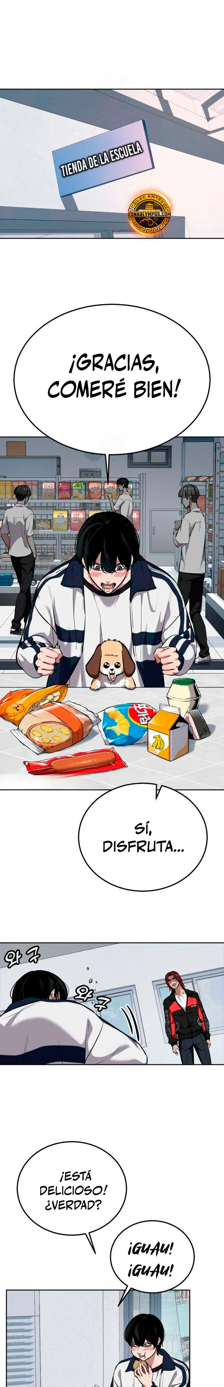 Página 17