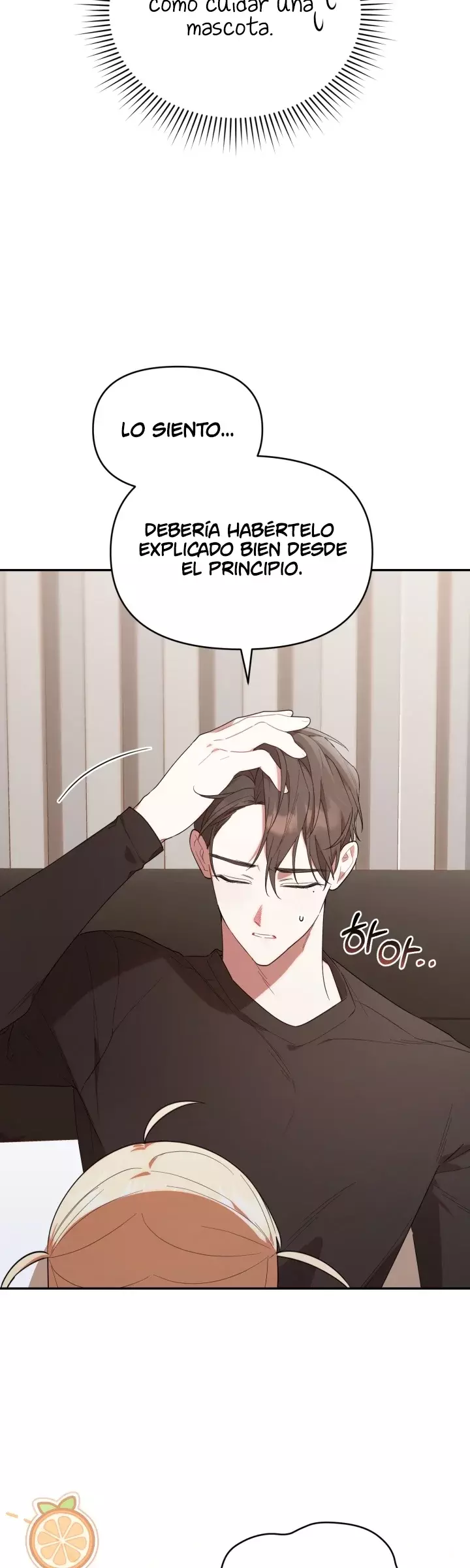 Página 17