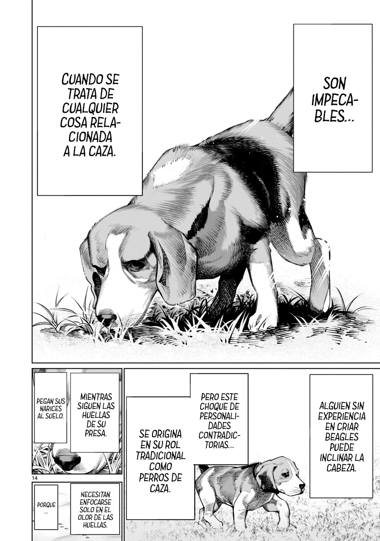 Página 14