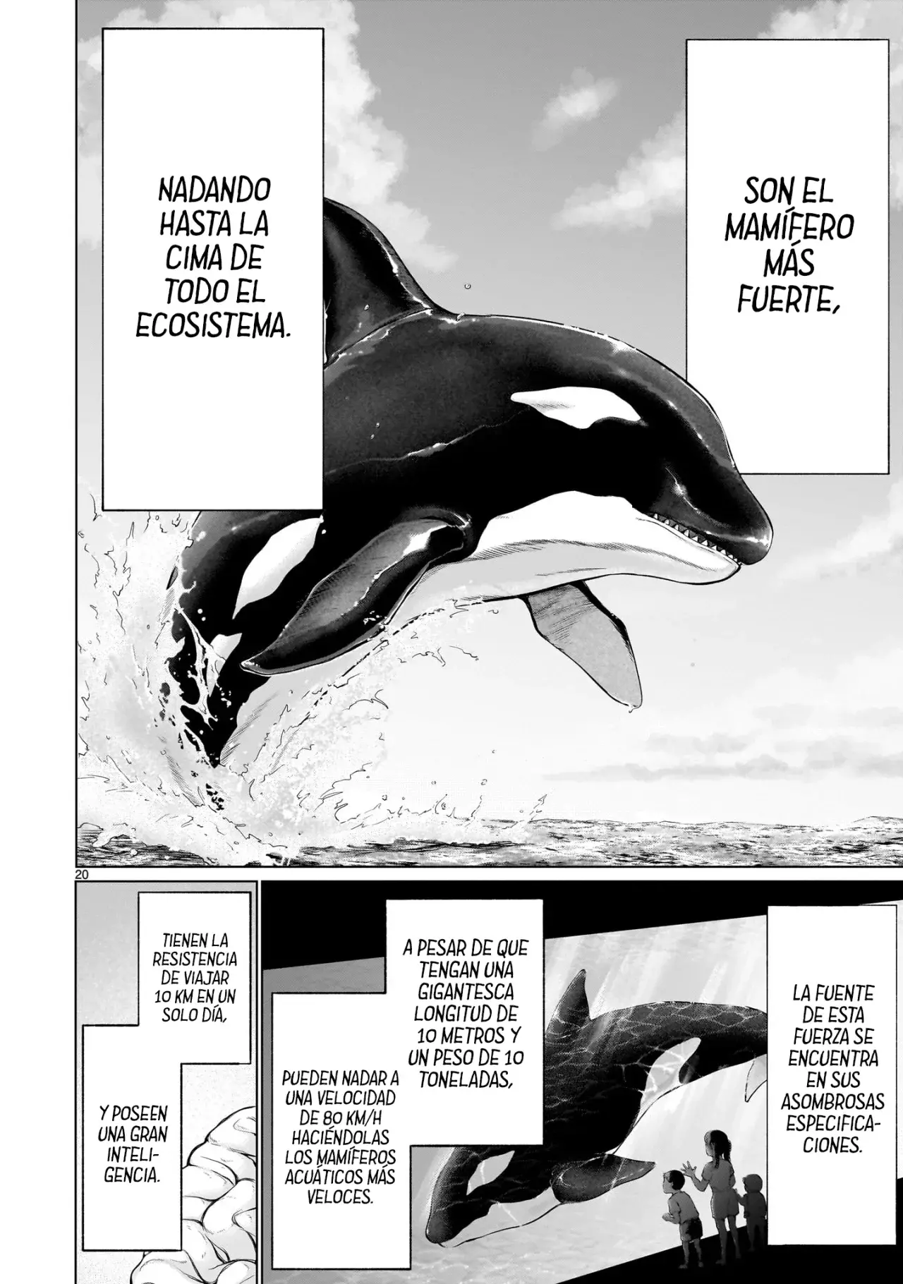 Página 20
