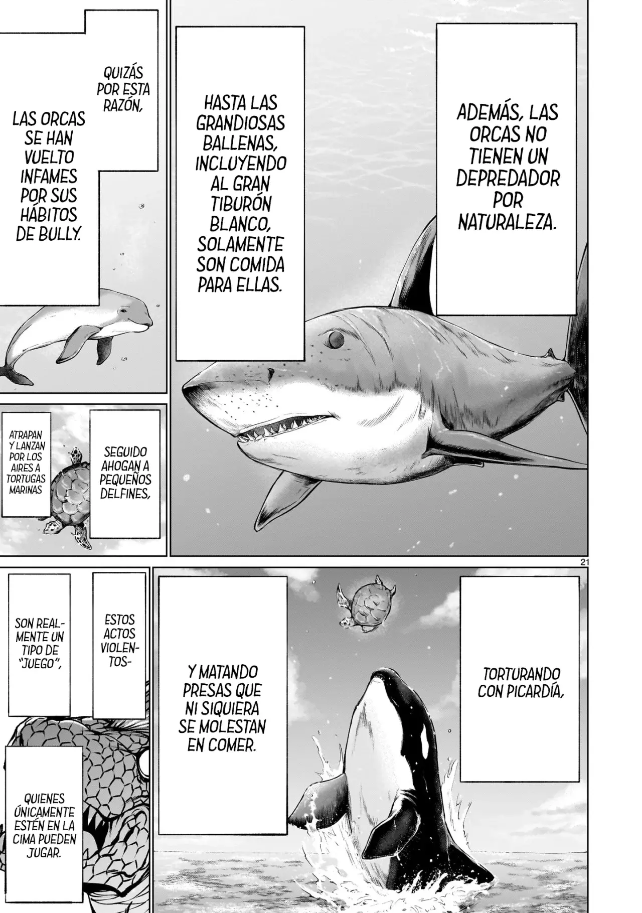 Página 21