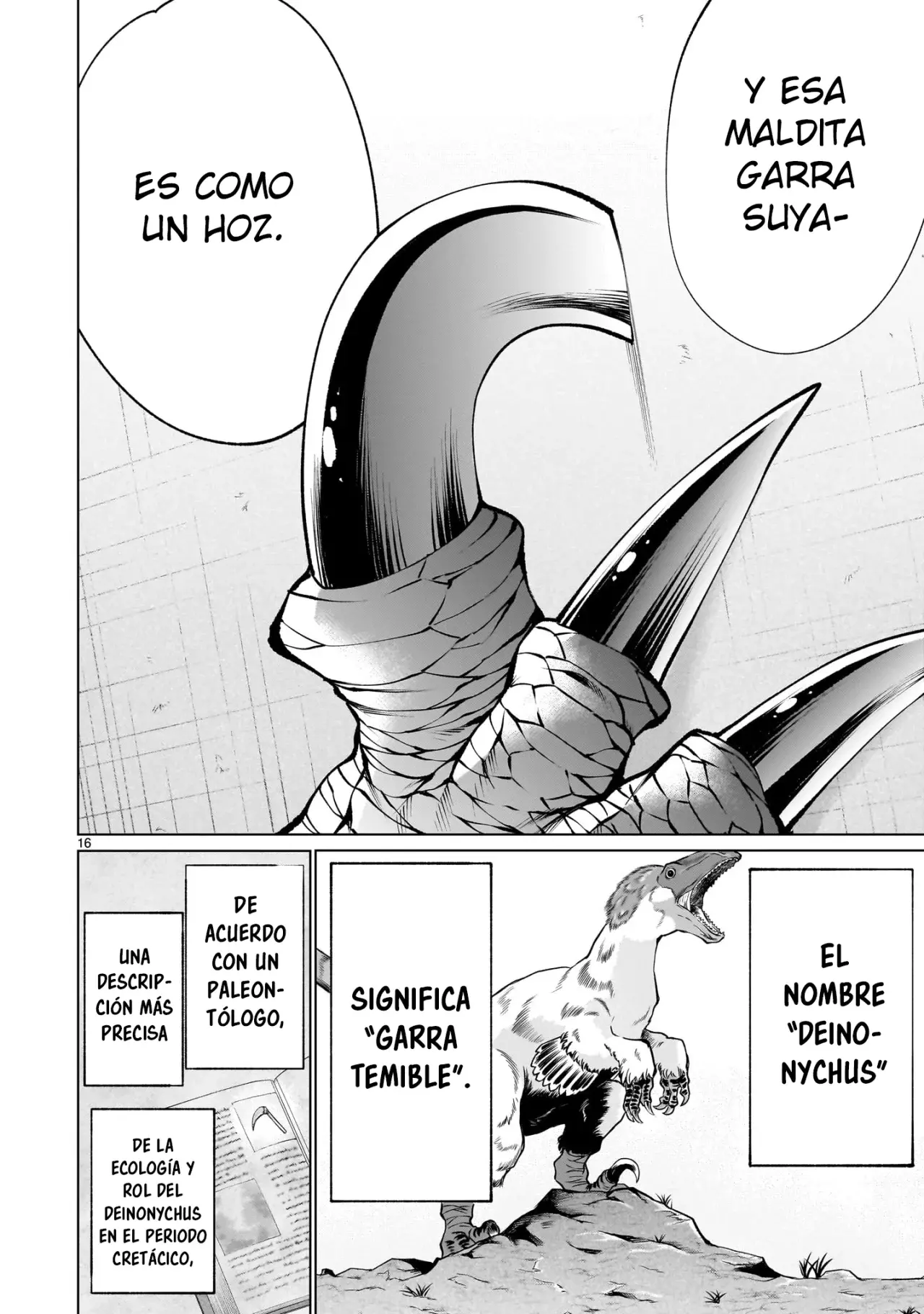 Página 17