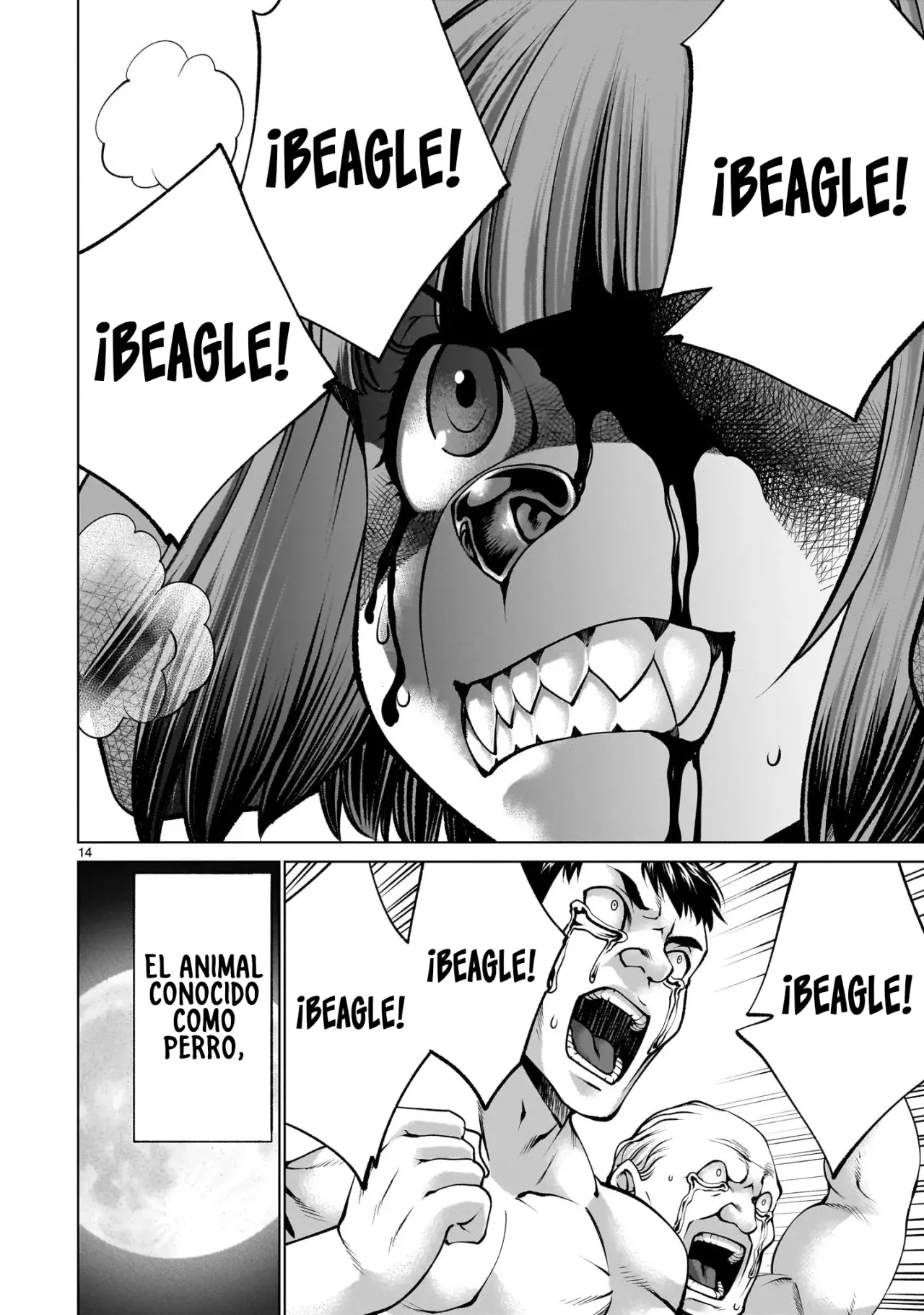 Página 15