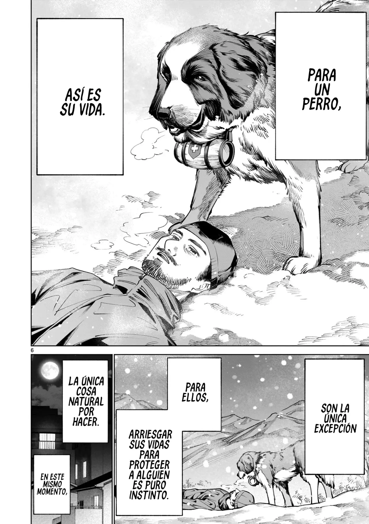 Página 8