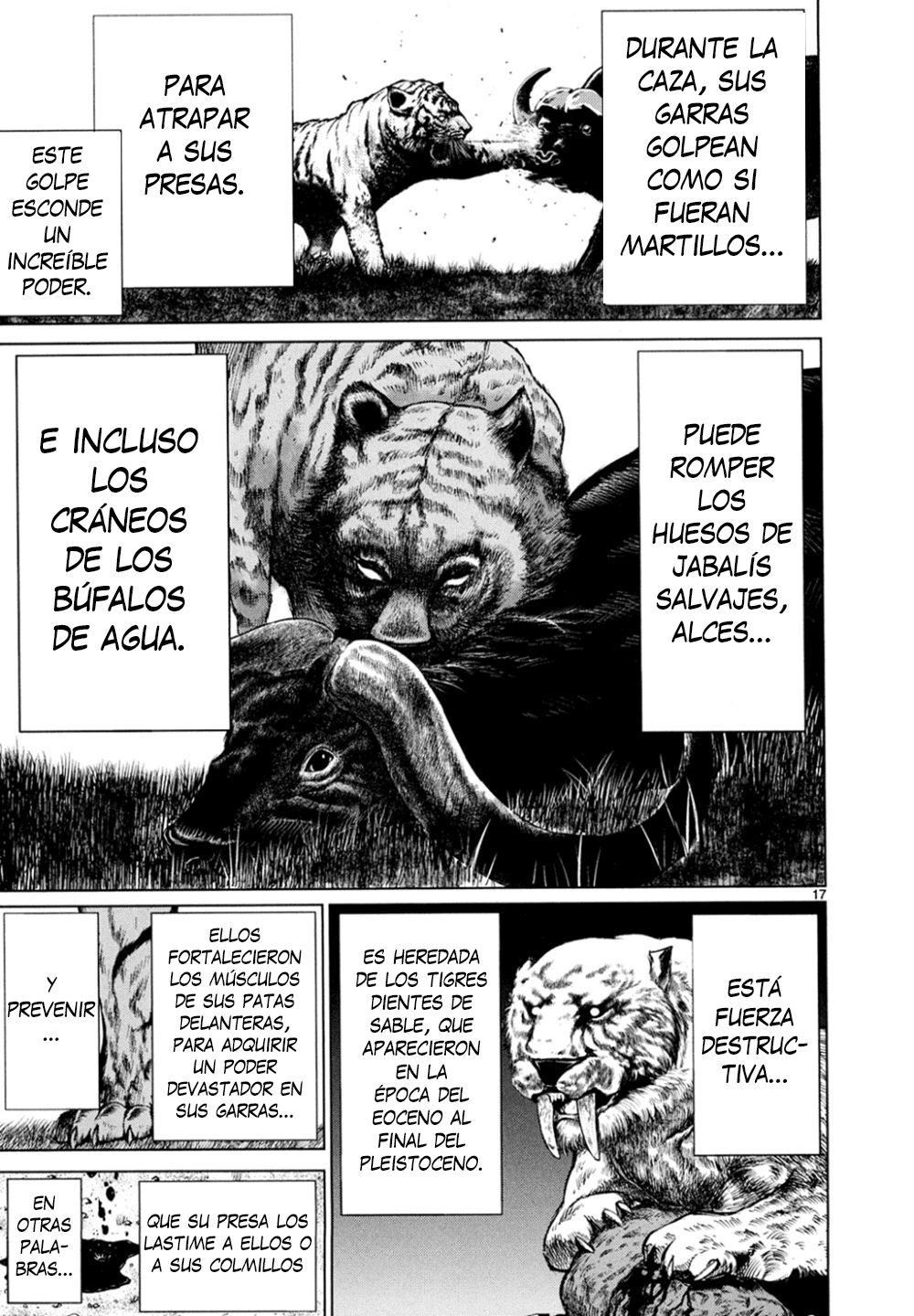 Página 17