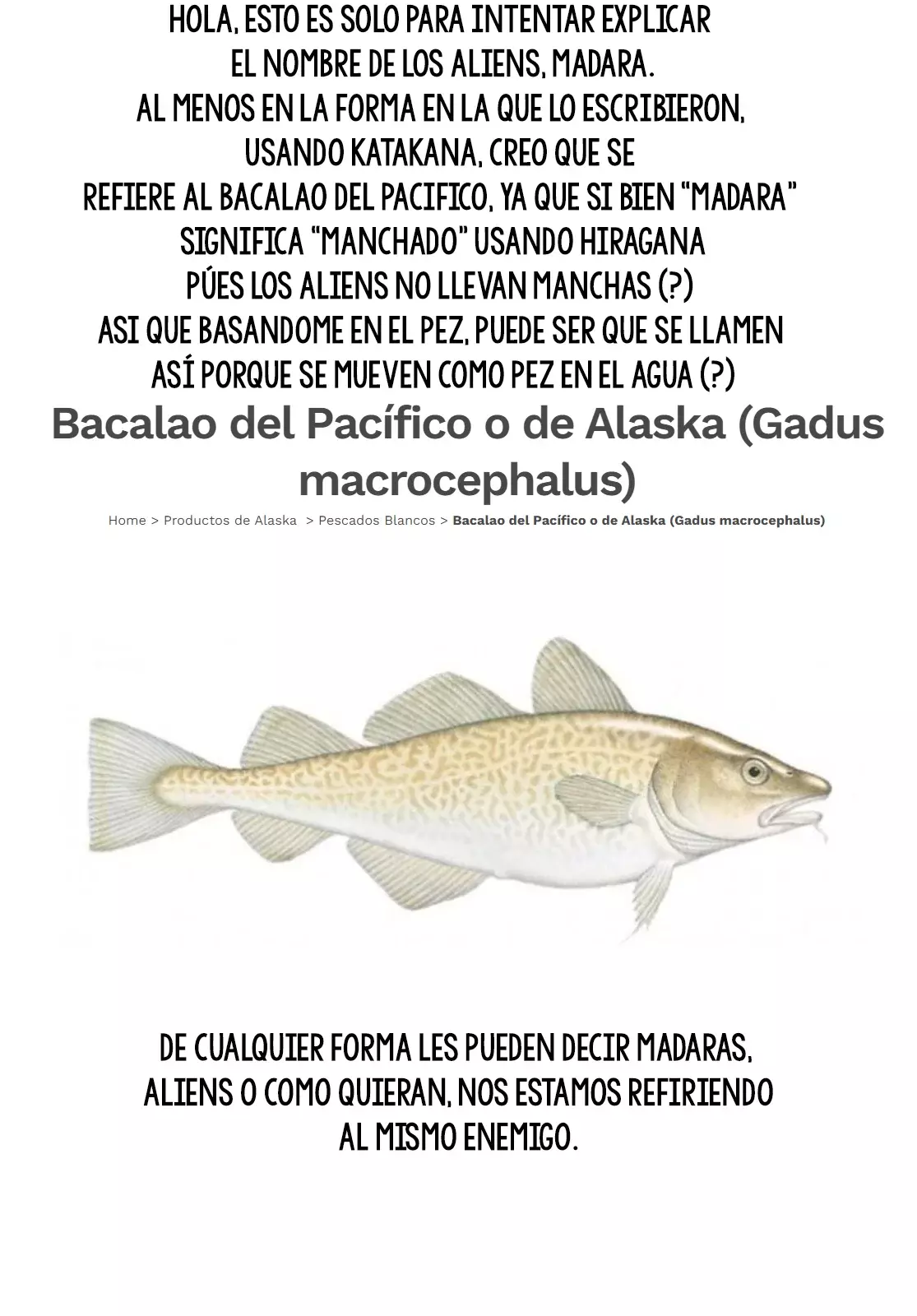 Página 34