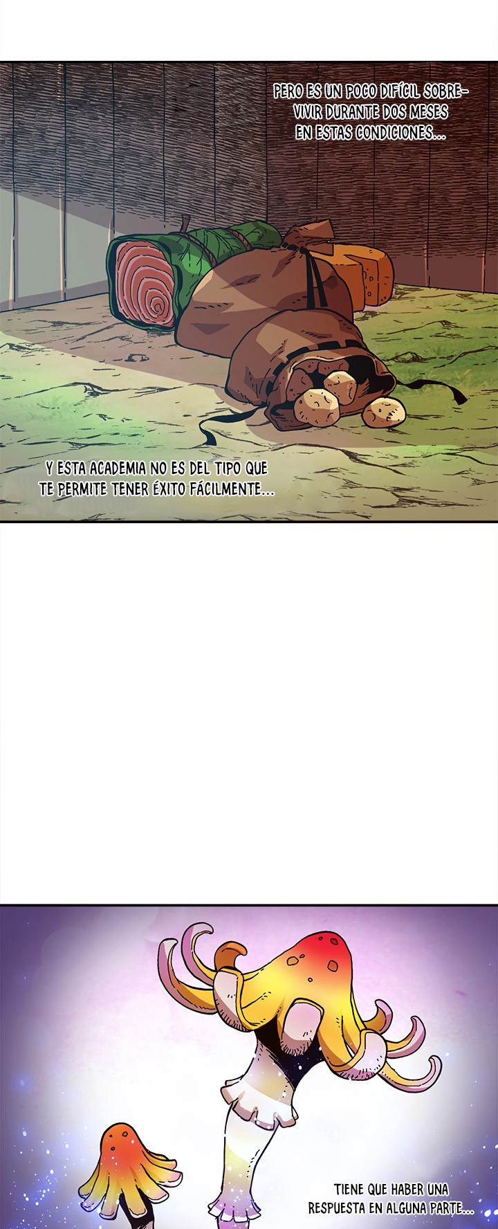 Página 31