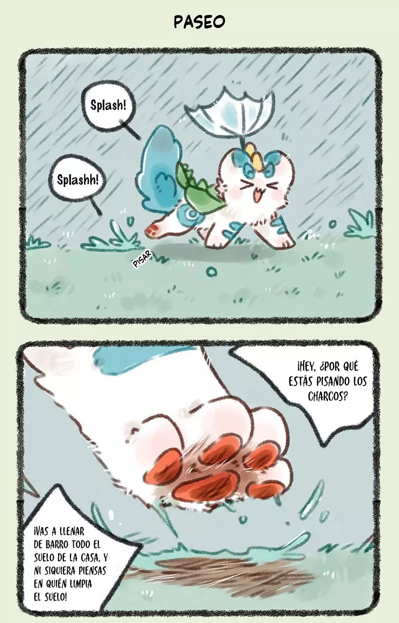 Página 5