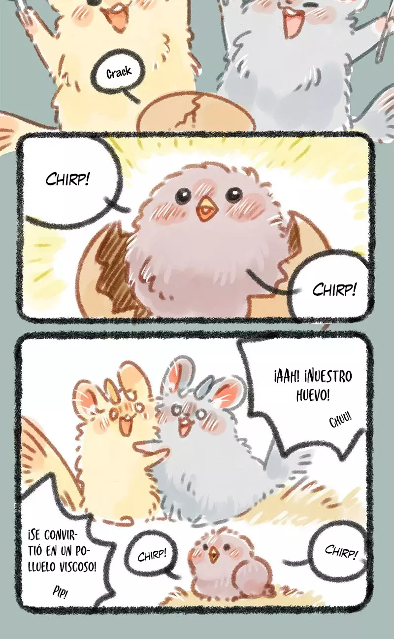 Página 3