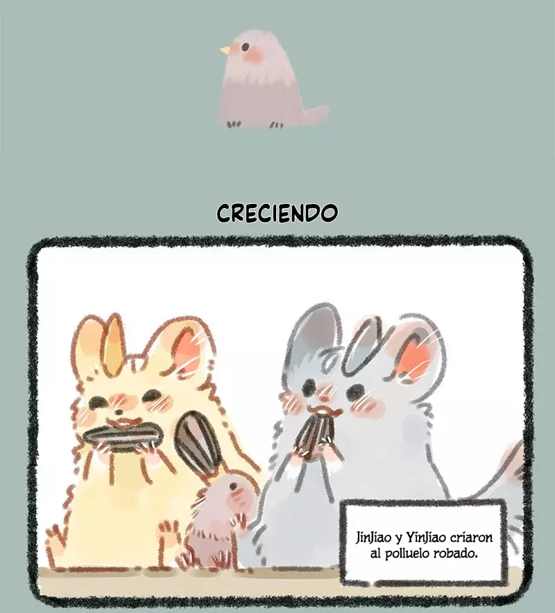 Página 4