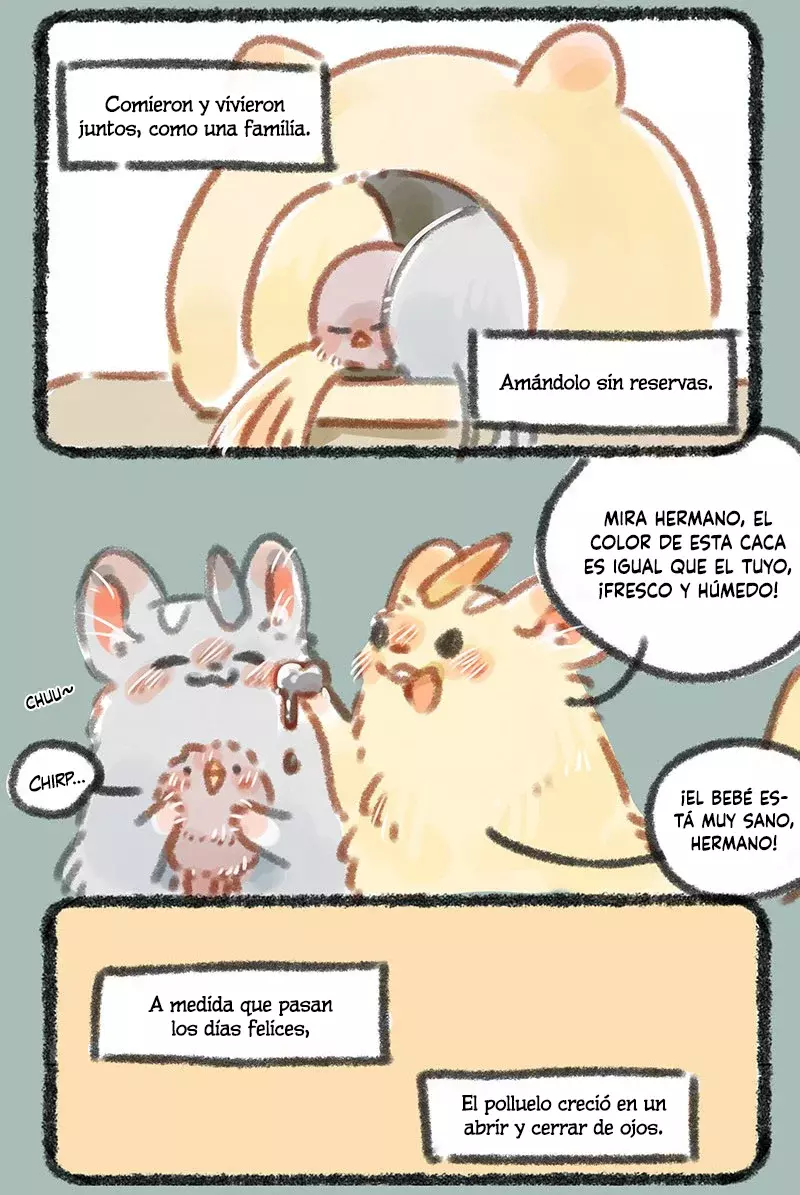 Página 5