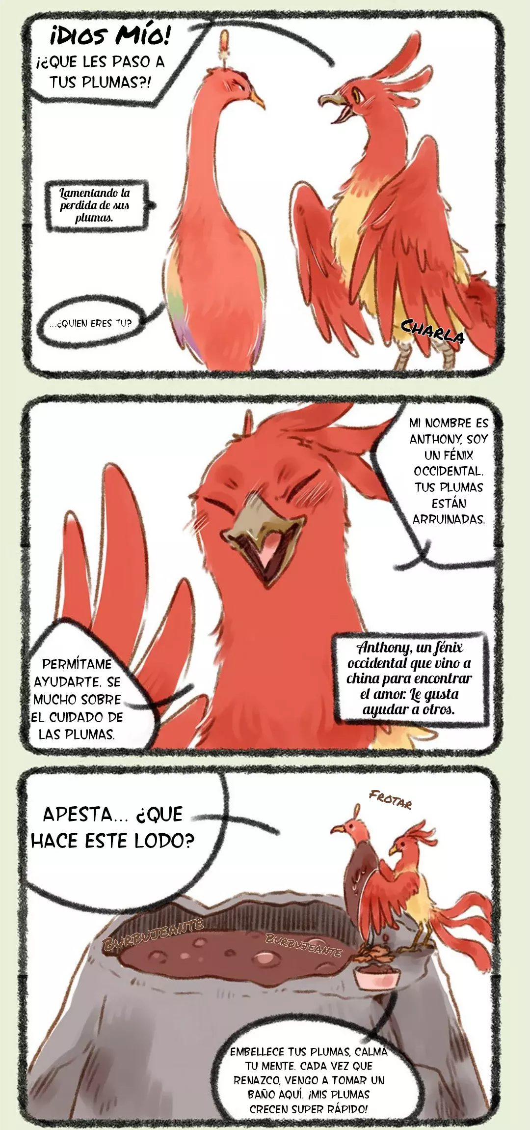 Página 5