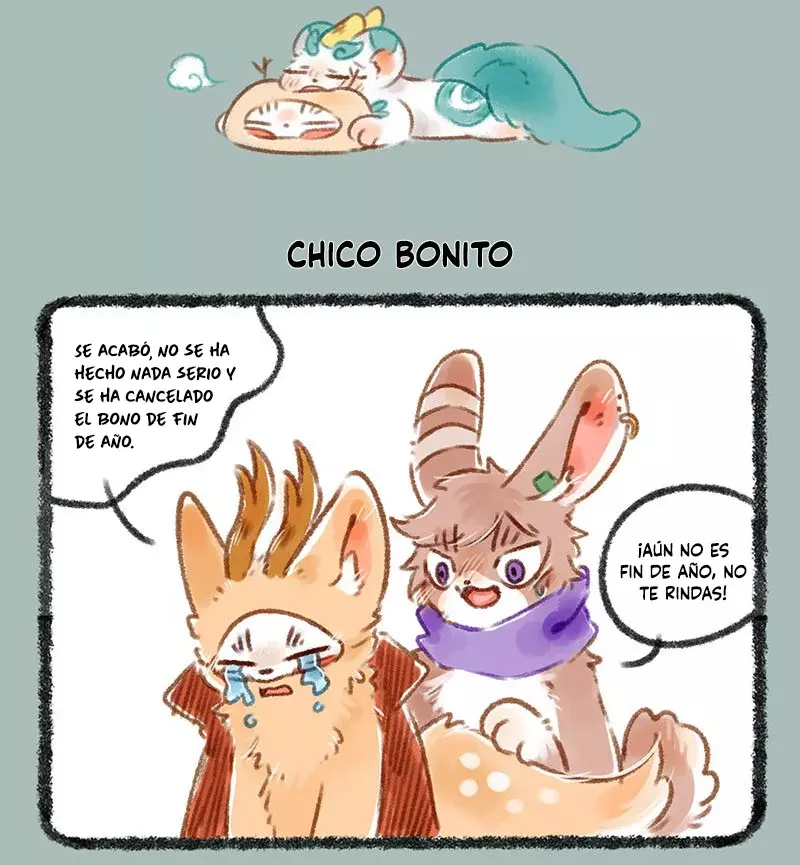 Página 5