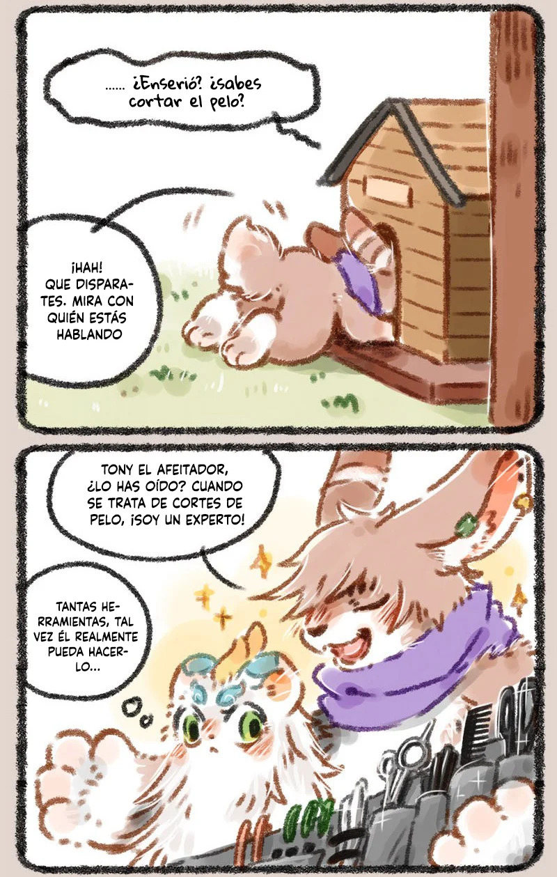 Página 6