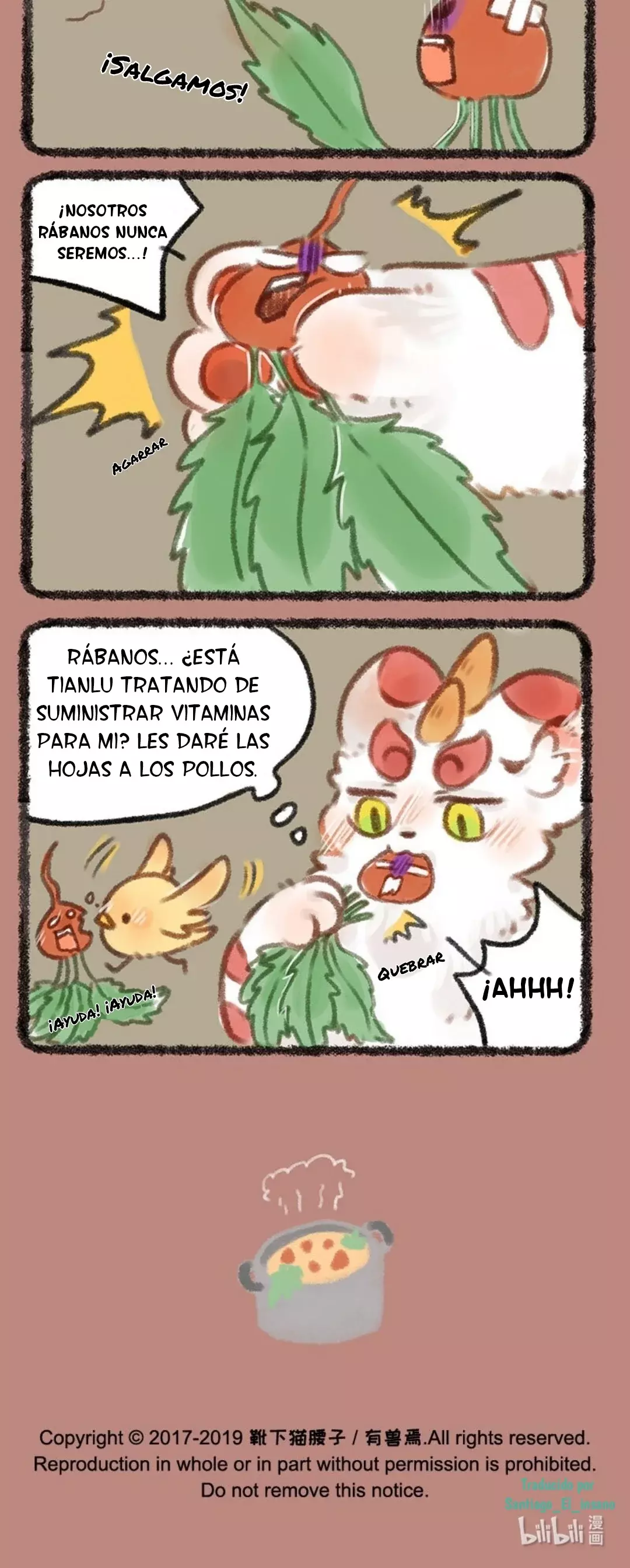 Página 4