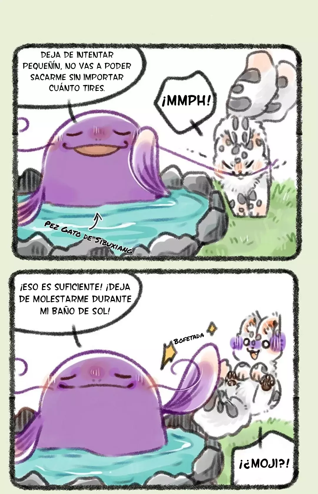 Página 5