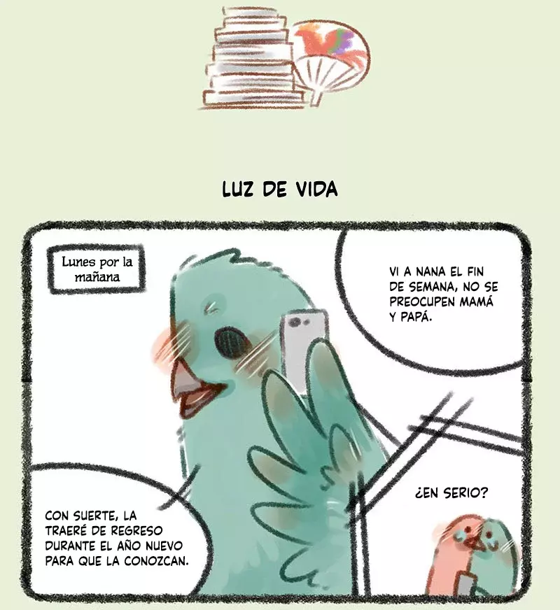 Página 5
